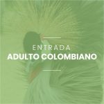 Imagen anterior del producto